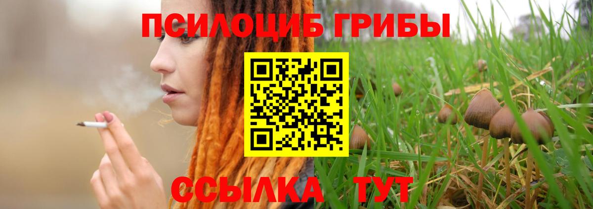 Псилоцибиновые грибы MAGIC MUSHROOMS Дзержинск